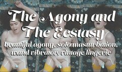 The Agony and The Ecstasy