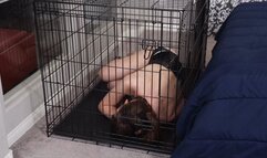 Jamie Kelly and Cherry Maverick - SUB