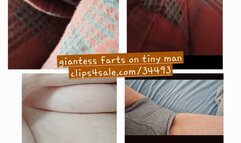 FARTING Giantess farts on tiny man