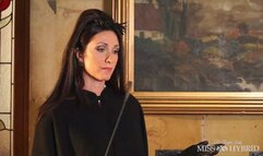 New Maid Duties Explained - 1080