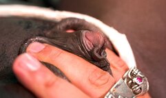 look how i suck her big pulsating clitoris