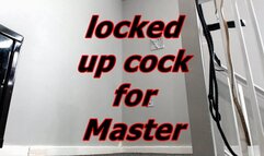 locked up cock for Master (WMV)