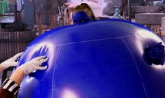 Horny 1971 Wonka Violet Blueberry Inflation