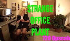 Strange Office Plant - 720res Upscale version