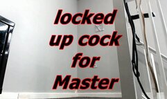 locked up cock for Master (MOV)