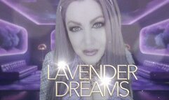 Lavender Dreams HD