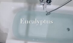 Eucalyptus