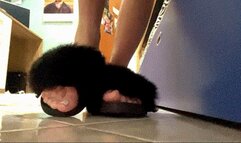 Do you also want to be My object? (Part 1)