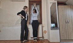 Bug Insertion Interrogation