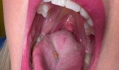 The passion to be in a giant mouth WNV