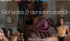 HOT TEASE & DENIAL IN CASTITA'