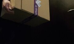 Pegging Queen- GREAT COURIER DEAL