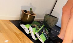 Gardening in sanita clogs geting dirty