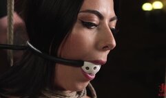 Gal Ritchie - Predicament Bondage, Torment, and Suffering Makes for a Happy Gal
