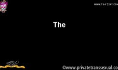 Behind the Scenes of Foxxy Stroking Her Cock on Bed Until She Cums