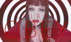 Spiral OBEY HD
