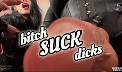 Time to be you cock sucking bitch POV