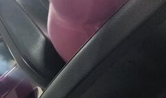 GymFartsAndgoldenNectar