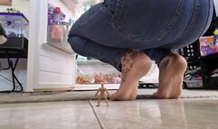 Lolas stepSon Shrunk himself and hid her glasses she stomps around barefoot looking for them foot and butt crushing and smothering him over and over making her hop and jump around as he bites her ass in jeans