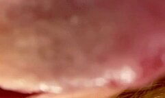 Tongue and Uvula Showcase