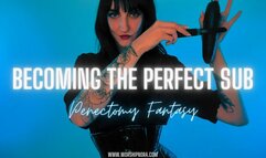 Becoming The Perfect Sub - Penectomy Fantasy