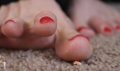 Harleen Shrinking Science Experiments - Part 1