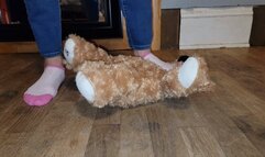 Sock trample teddy bear