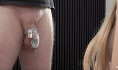 The Housewife's Affair XXVIII 4K HDR