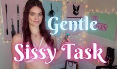 Gentle Sissy Training