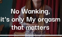 No Wanking, only Mistress's Orgasm matters