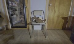 Teddy bear buttcrush