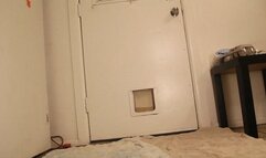 harleyquinn custom diapered wam