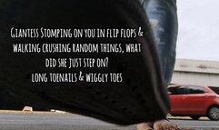 Giantess Stomping on you in flip flops & walking crushing random things, what did she just step on? long toenails & wiggly toes