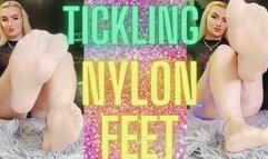 TICKLING NYLON FEET