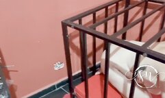 Our girl slave is released to clean our heels and be humiliated