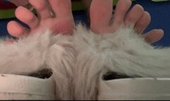 Inside My Slippers