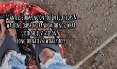 HD Giantess Stomping on you in flip flops & walking crushing random things, what did she just step on? long toenails & wiggly toes