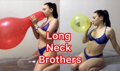 Long Neck Brothers