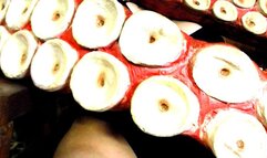 Indomitable! 5 (Anastasia Maye) (MP4)