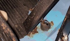 Cranking and Pumping the Blue Van's pedals