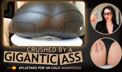 Crushed by a gigantic ass