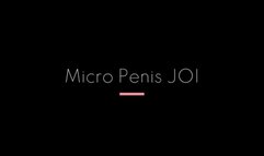Micro Penis JOI