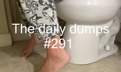 The daily dumps #291 mp4