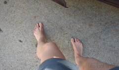 Fifi driving home barefoot and stopping to walk in a bluebonnet field