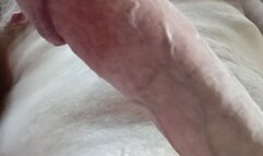 I help you obey my COCK