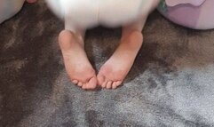 Little kings squishmallow humping