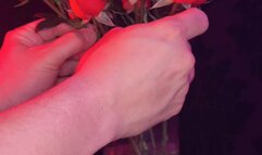 Valentine's Day Escapades