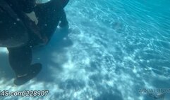 Fight Over Sunni's Man