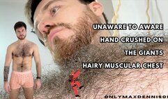 Unaware to aware hand crush on the giants hairy chest