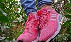 Sniff, Worship, Lick Adidas Sneakers